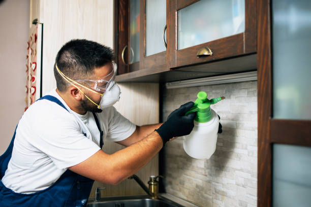 Best Exterminator Services  in Cape Carteret, NC