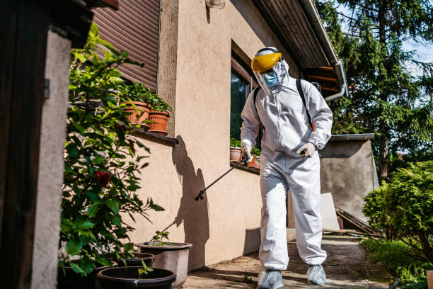 Best Termite Control Services  in Cape Carteret, NC