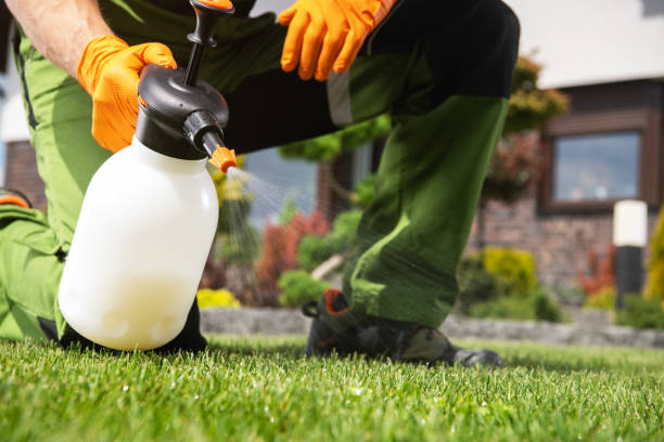 Best Residential Pest Control  in Cape Carteret, NC