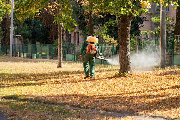 Best Pest Control for Businesses  in Cape Carteret, NC