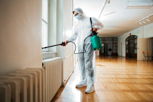 Reliable Cape Carteret, NC Pest Control Solutions