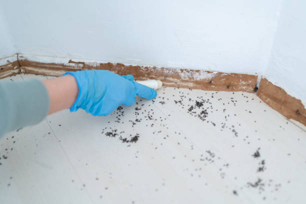 Best Pest Inspection Near Me  in Cape Carteret, NC